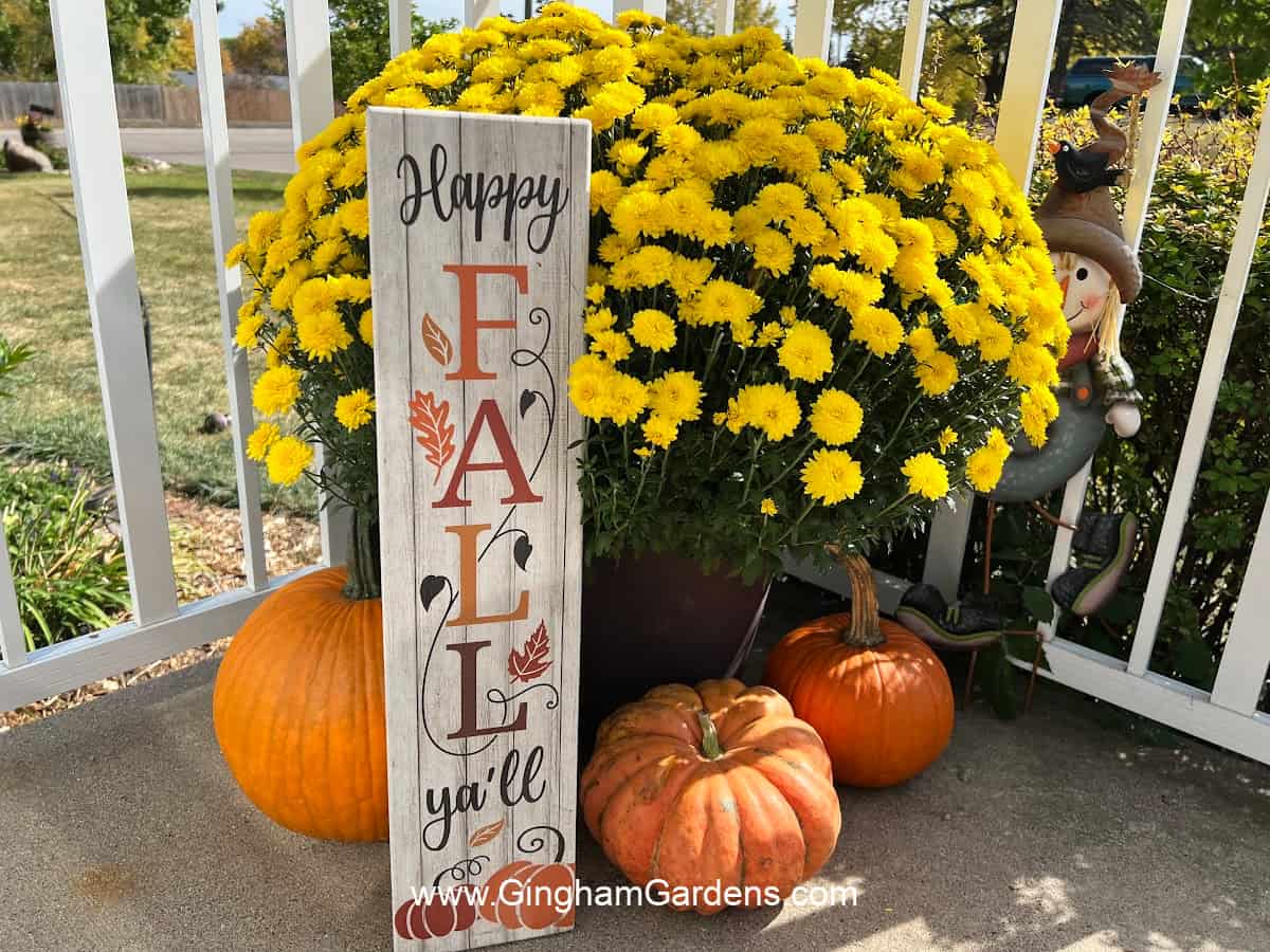 autumn decor ideas