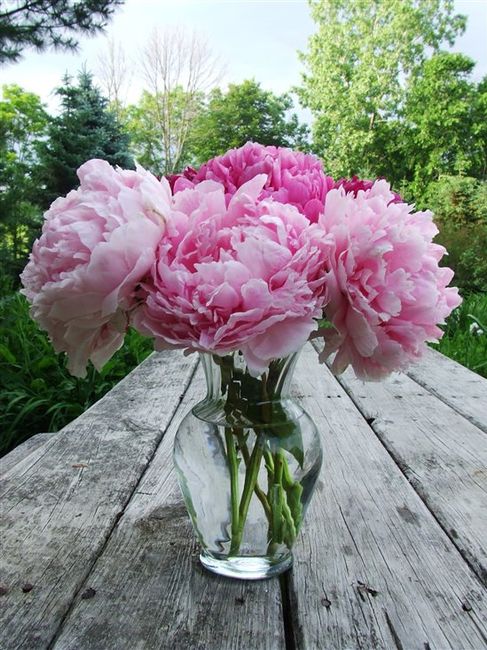 Extinct flowers