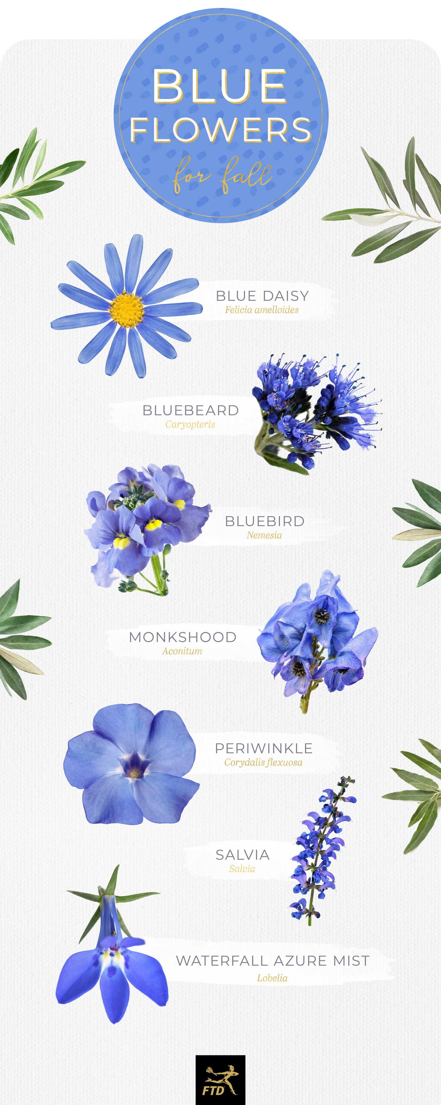 symbolism of blue flowers