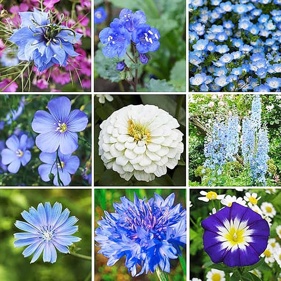 blue garden inspiration