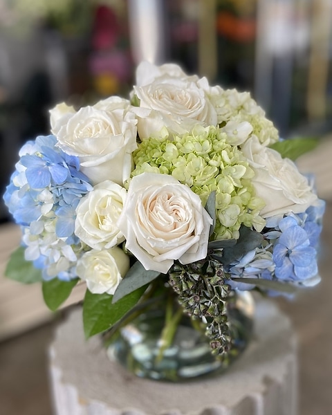 shade-loving blue flowers