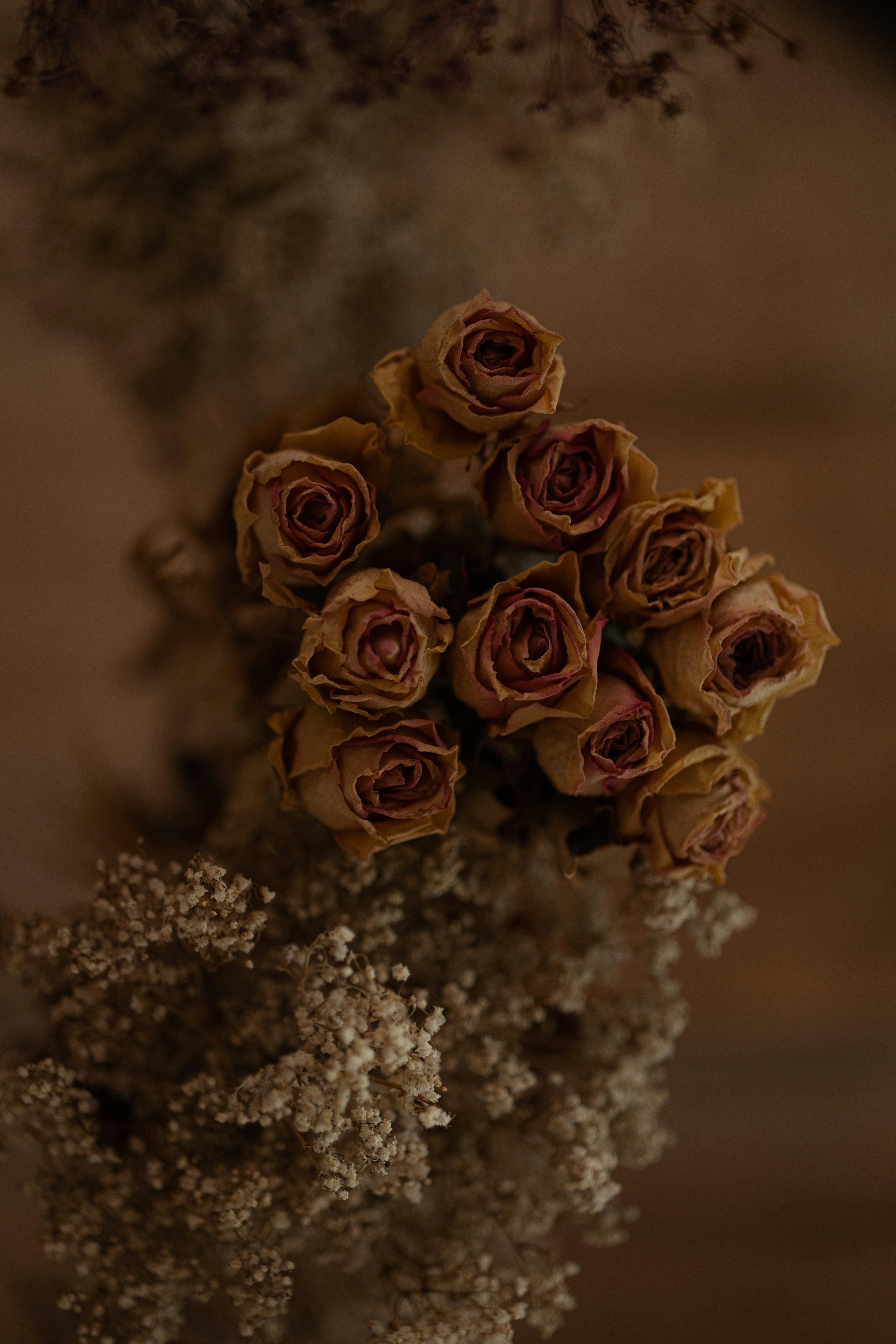 brown flowers for borders