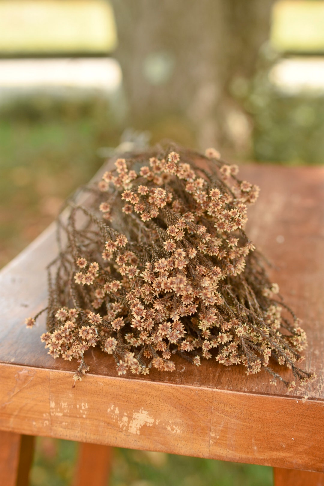 brown flowers for arrangements