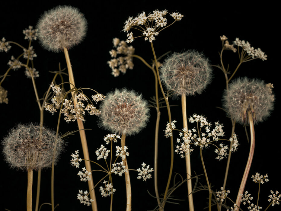 gothic flowers