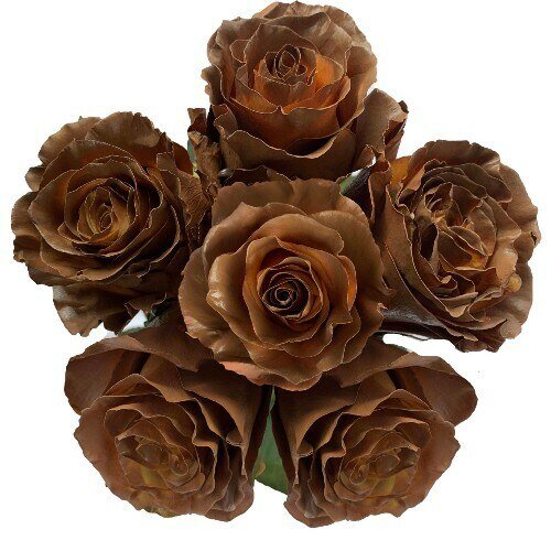 unique flower colors