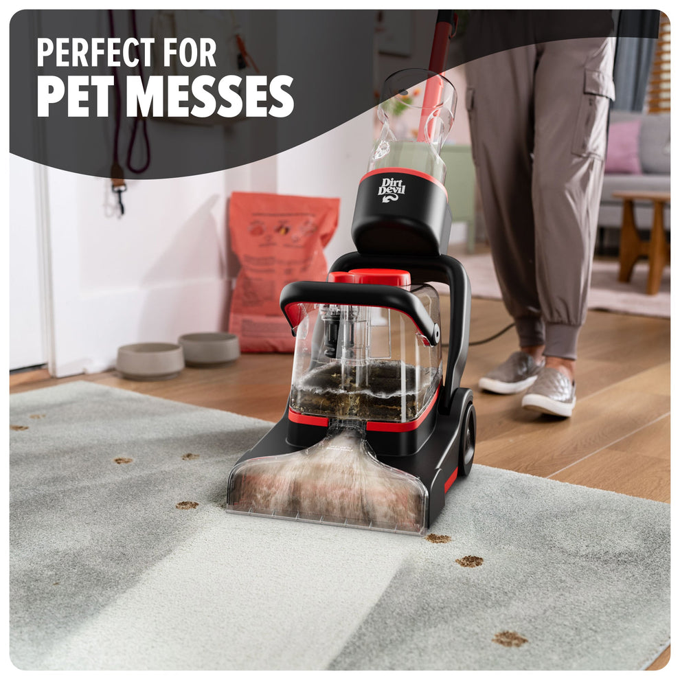 portable spot cleaner
