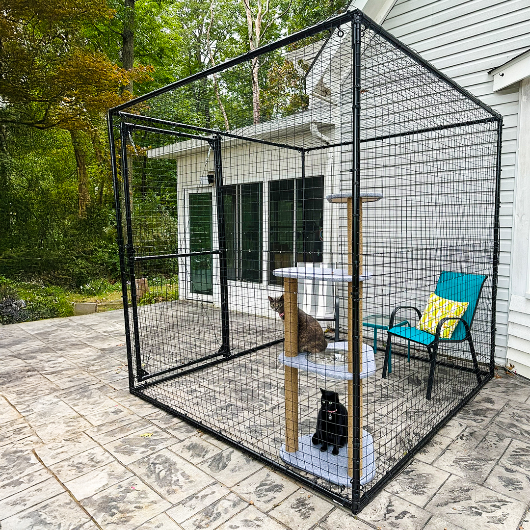 outdoor cat enclosure