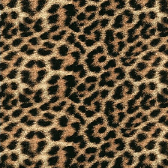 cheetah print home decor ideas
