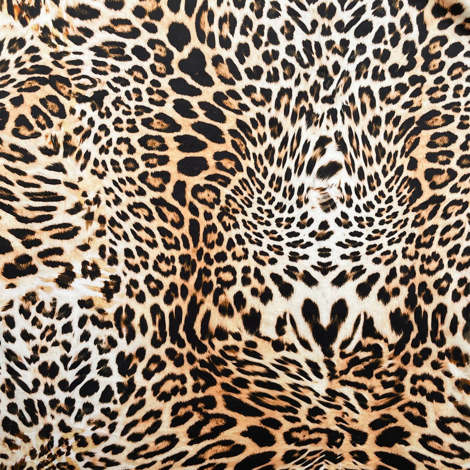 animal print aesthetics