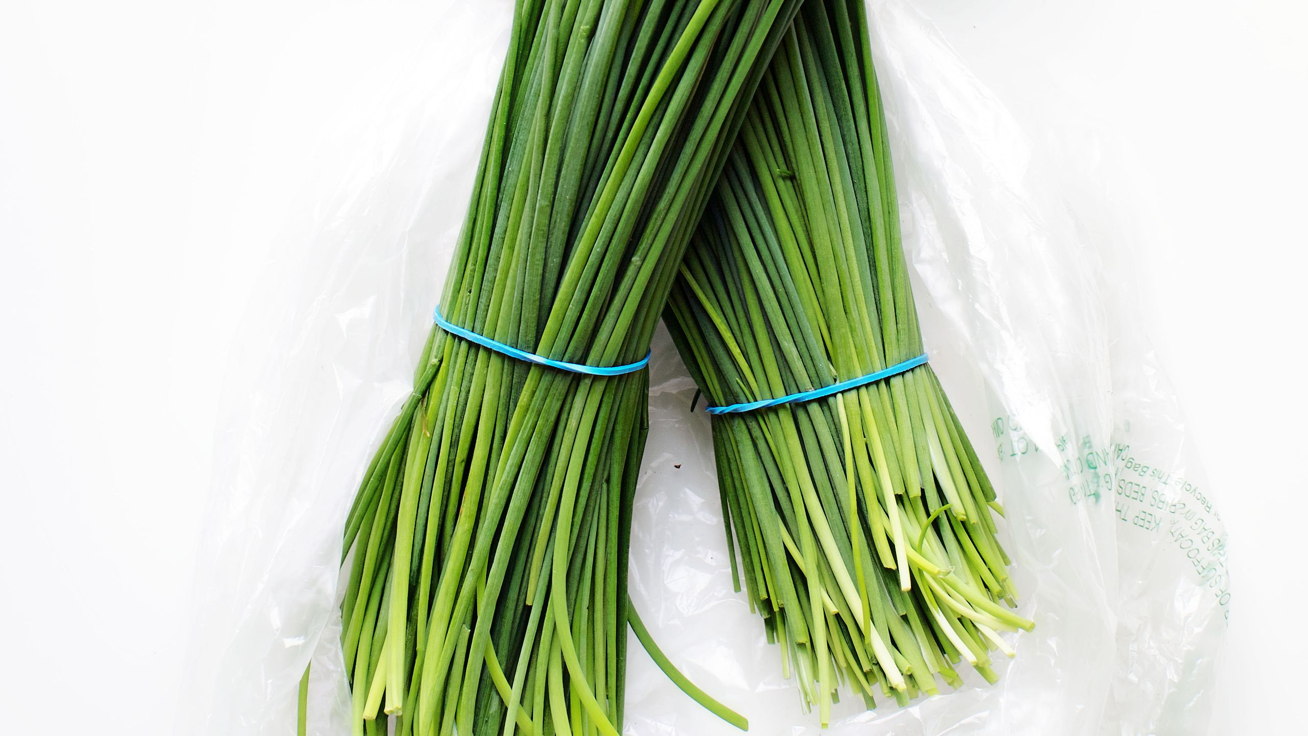onion chives
