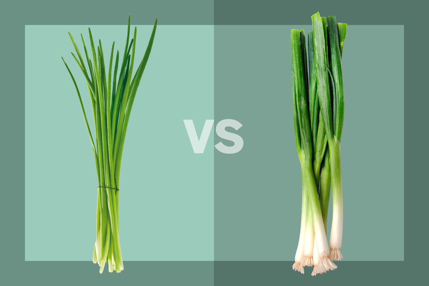 Chinese chives