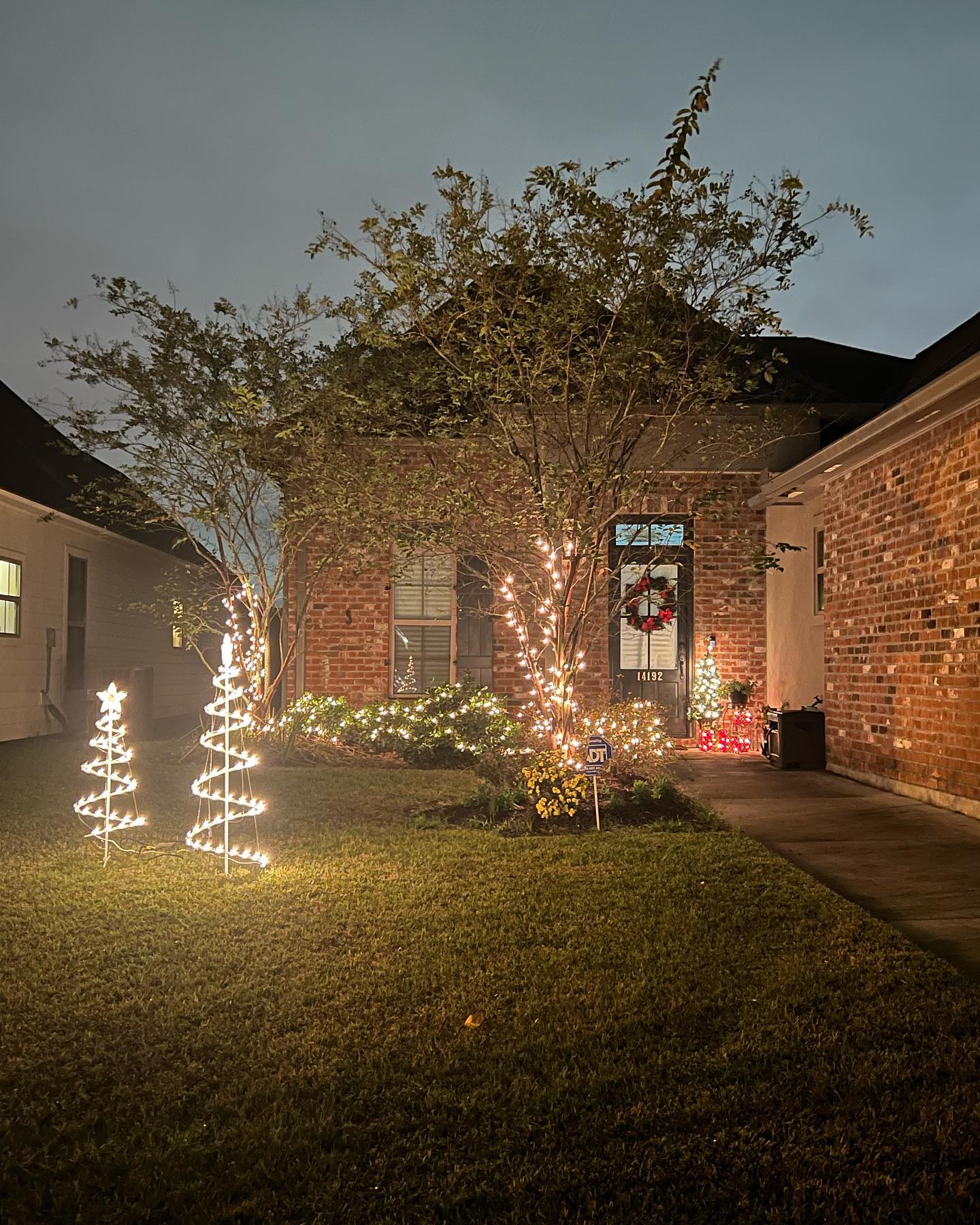 LED Christmas lights