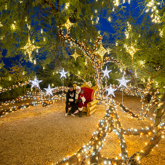 string lights
