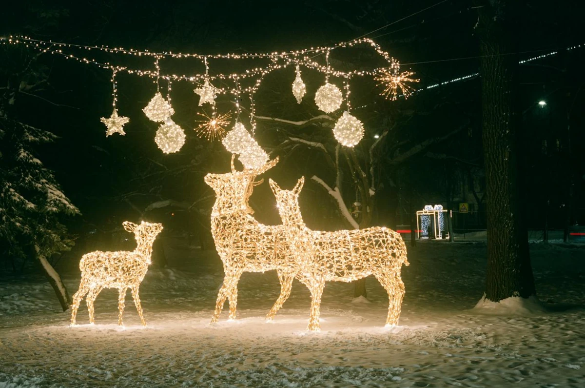 reindeer lights