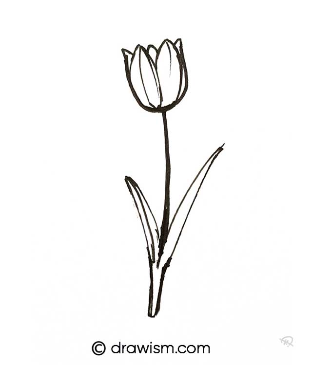 cute flower