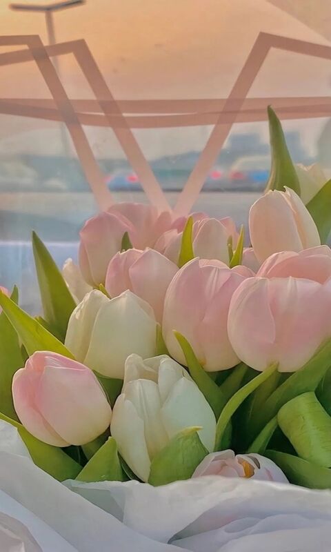 cute flower