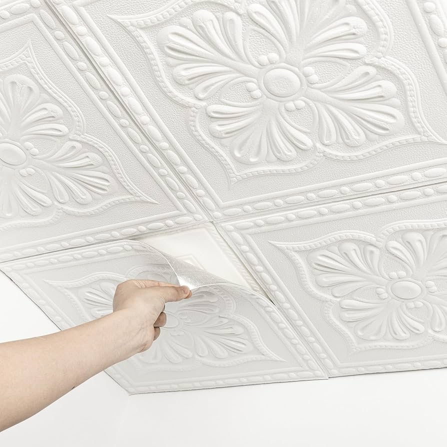 2x2 ceiling tiles