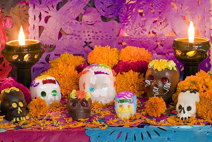 Sugar skull decorations