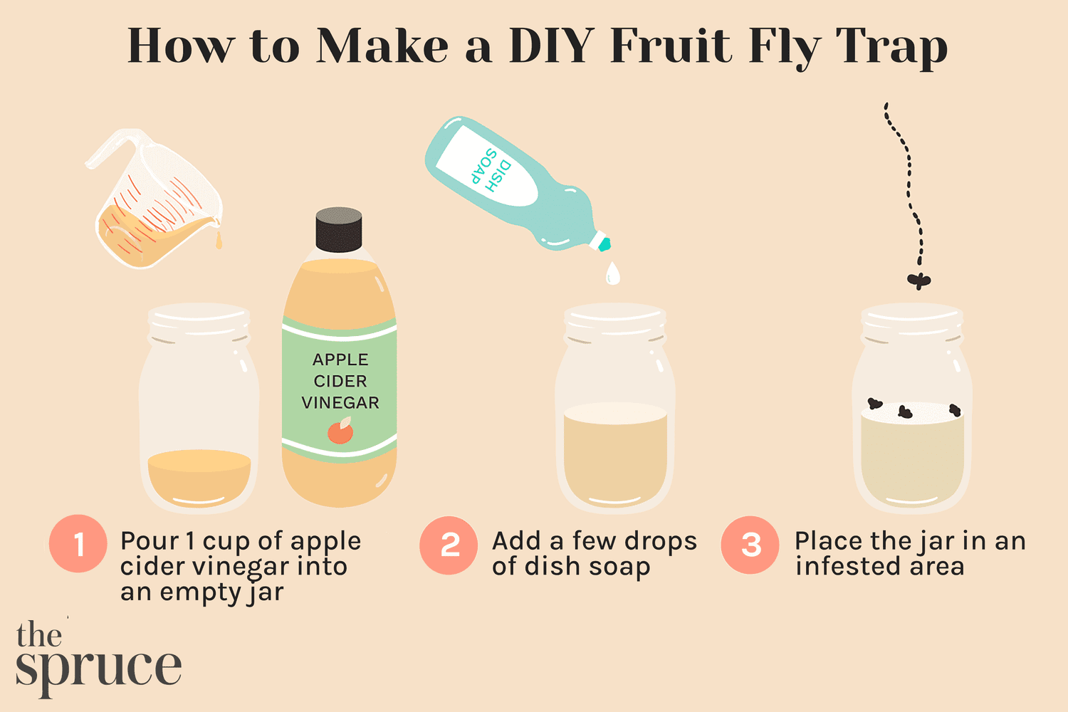 DIY fruit fly trap