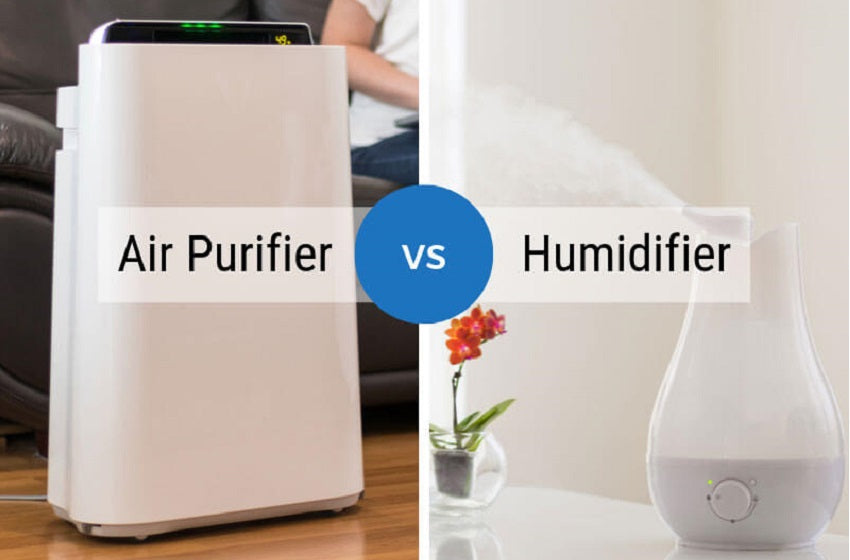 air purifier vs humidifier for allergies