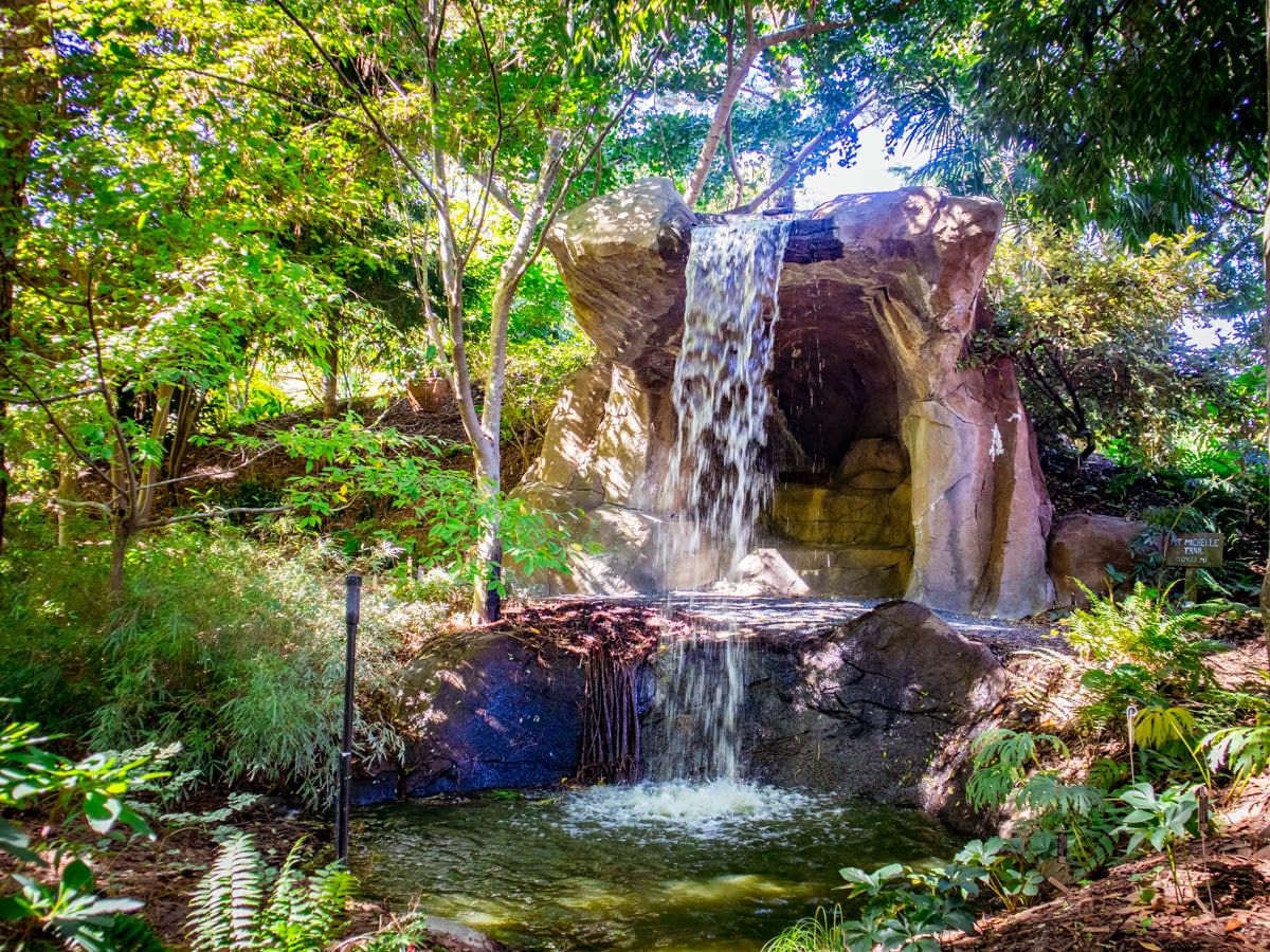 Juniper Level Botanic Garden events