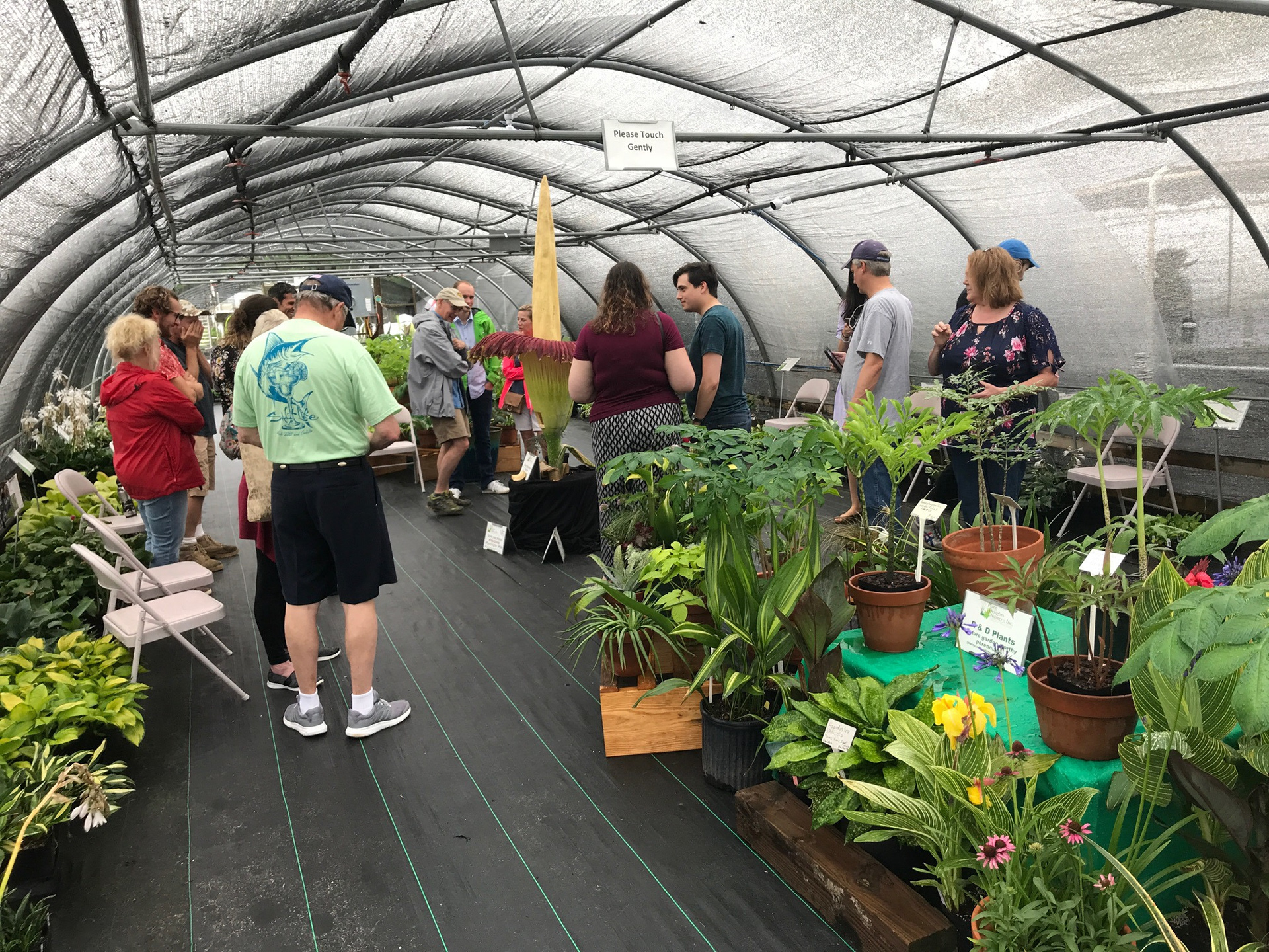 Sustainable gardening practices