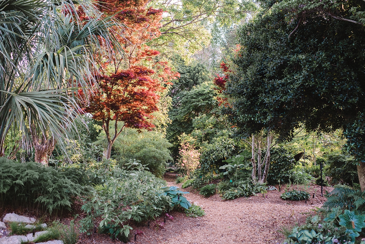 Raleigh botanical gardens