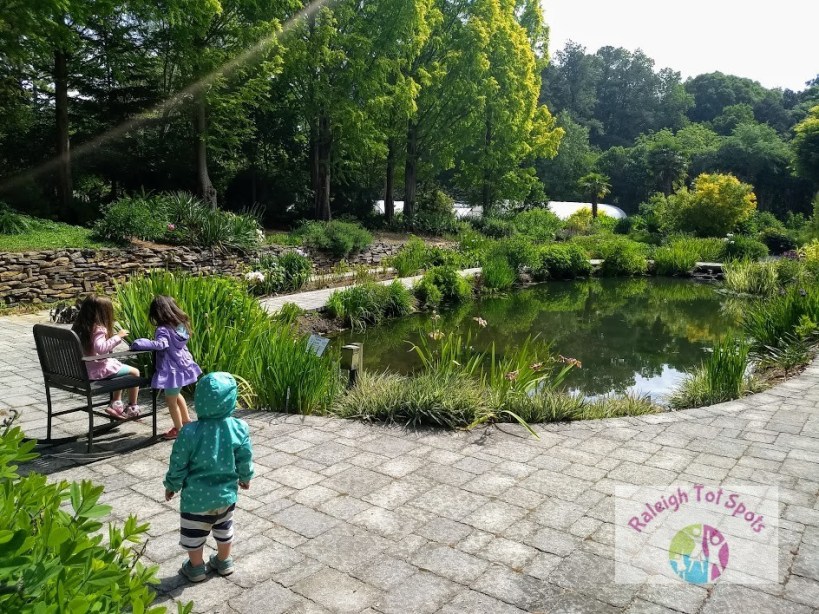Crevice garden design
