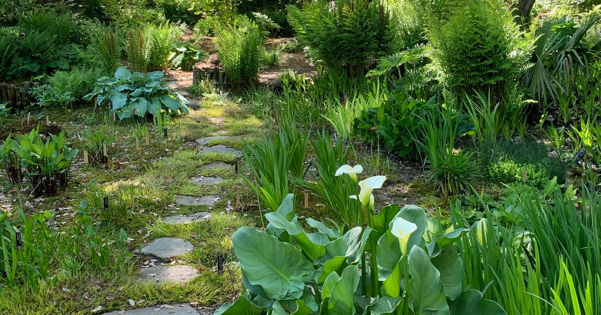 Sustainable gardening practices