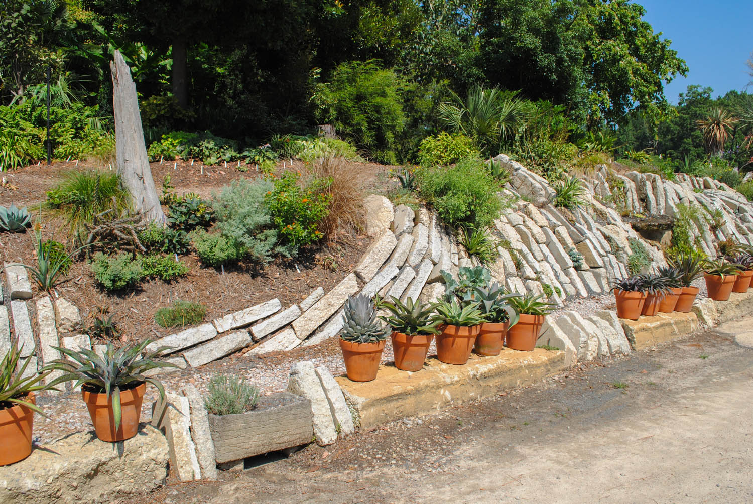 Botanical research facilities