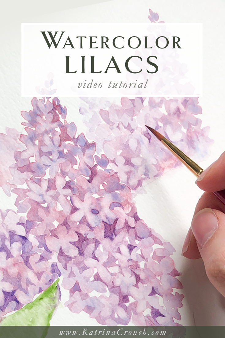 lilacs for containers