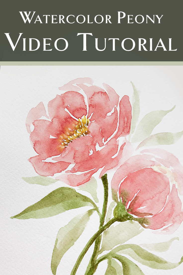 Tree Peony