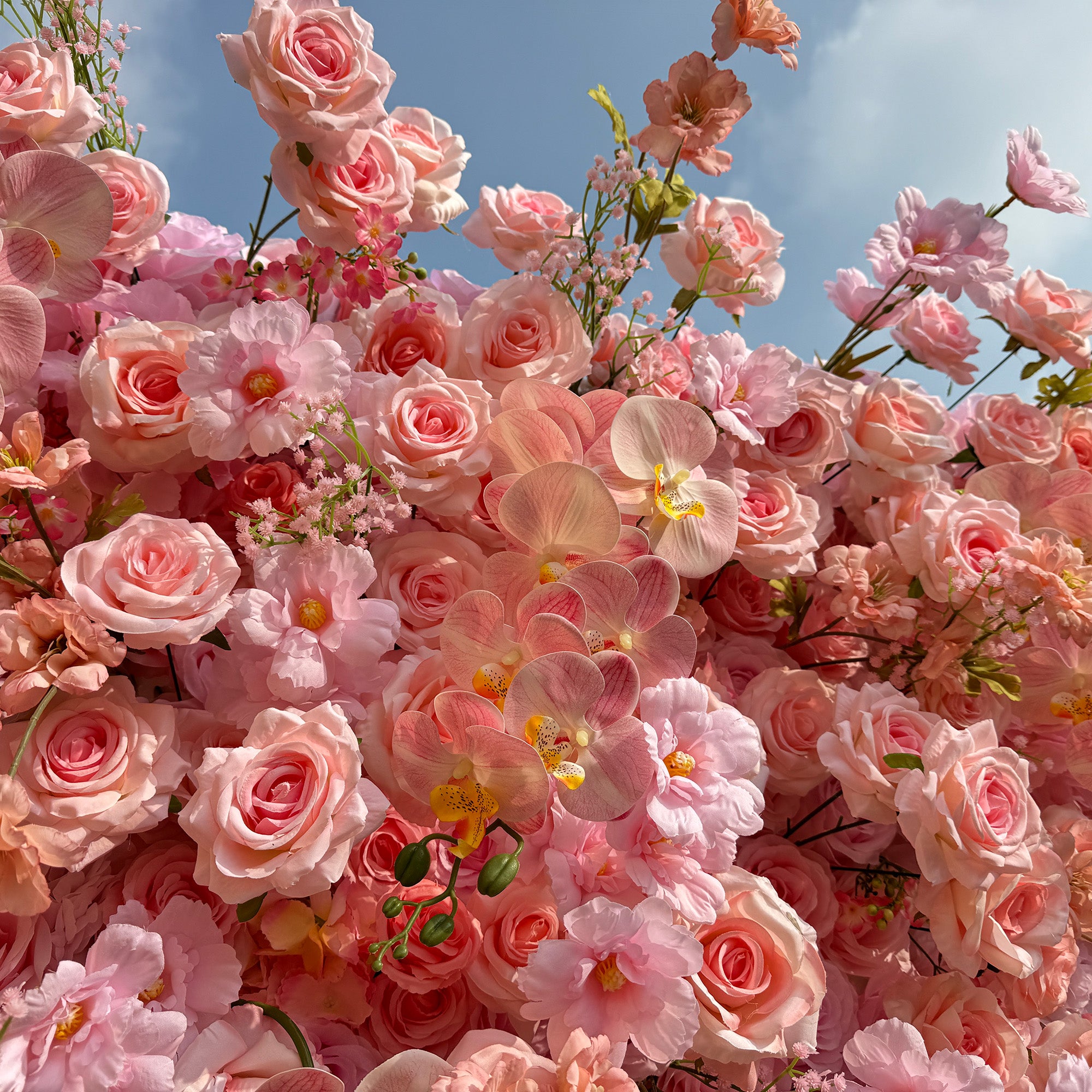pink flower meanings