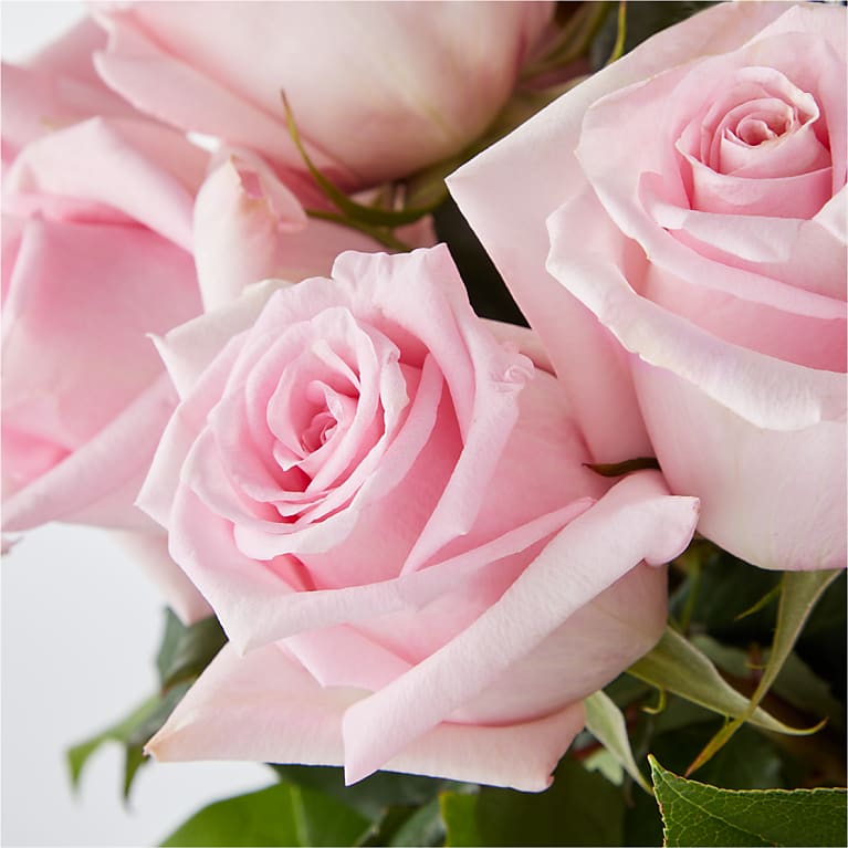 pink flowers for cutting gardens