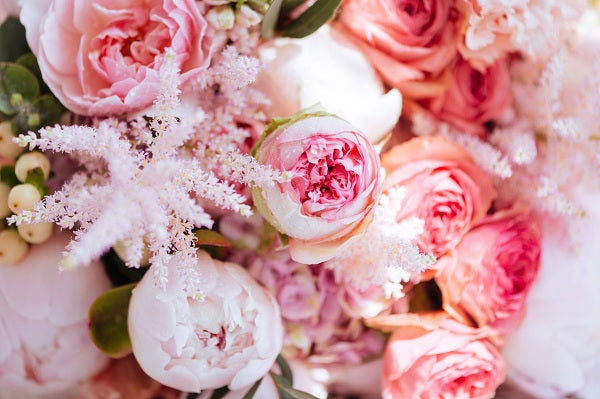 pink flowers for sun gardens