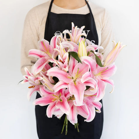 Pink lily wall art