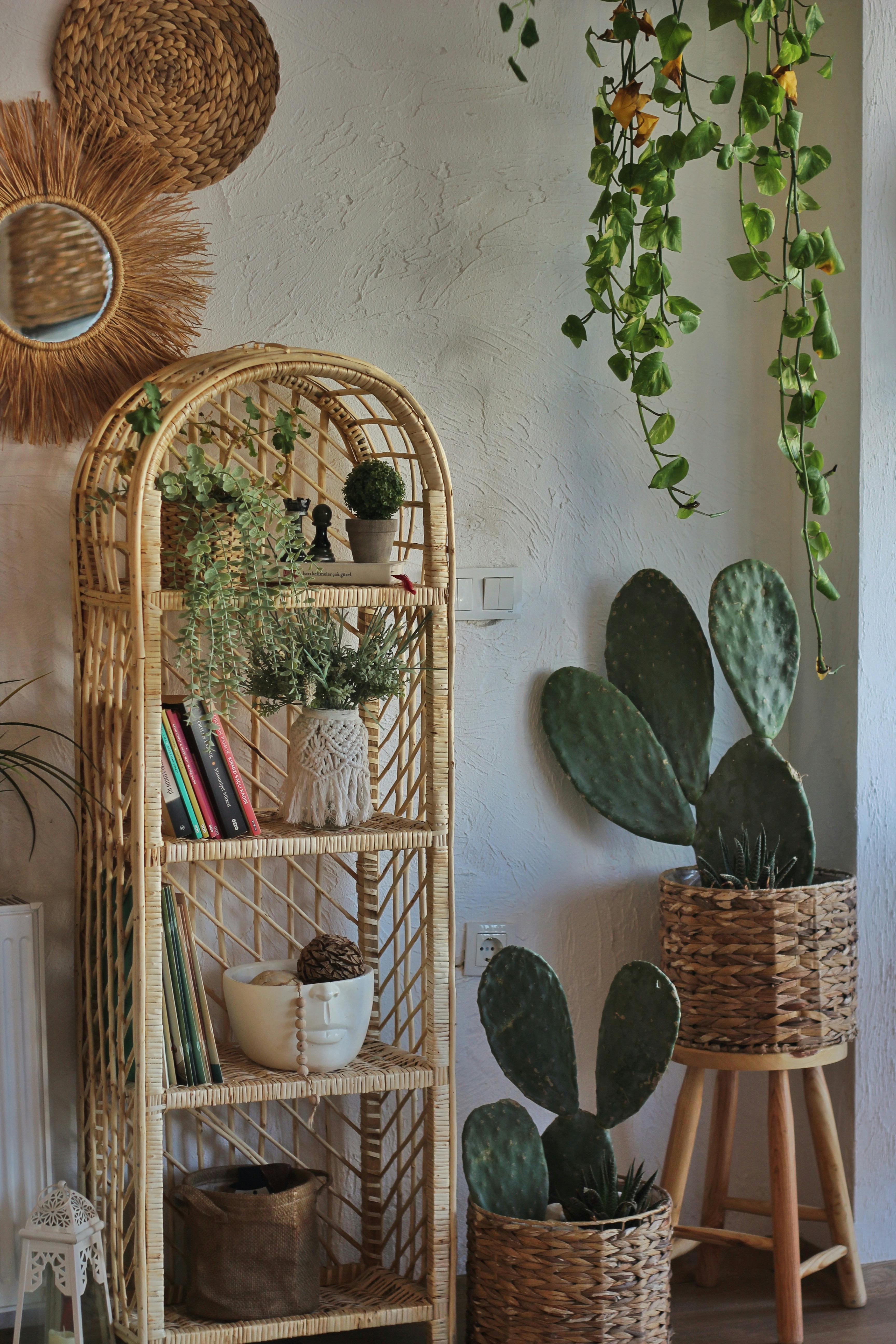 Rattan placemats