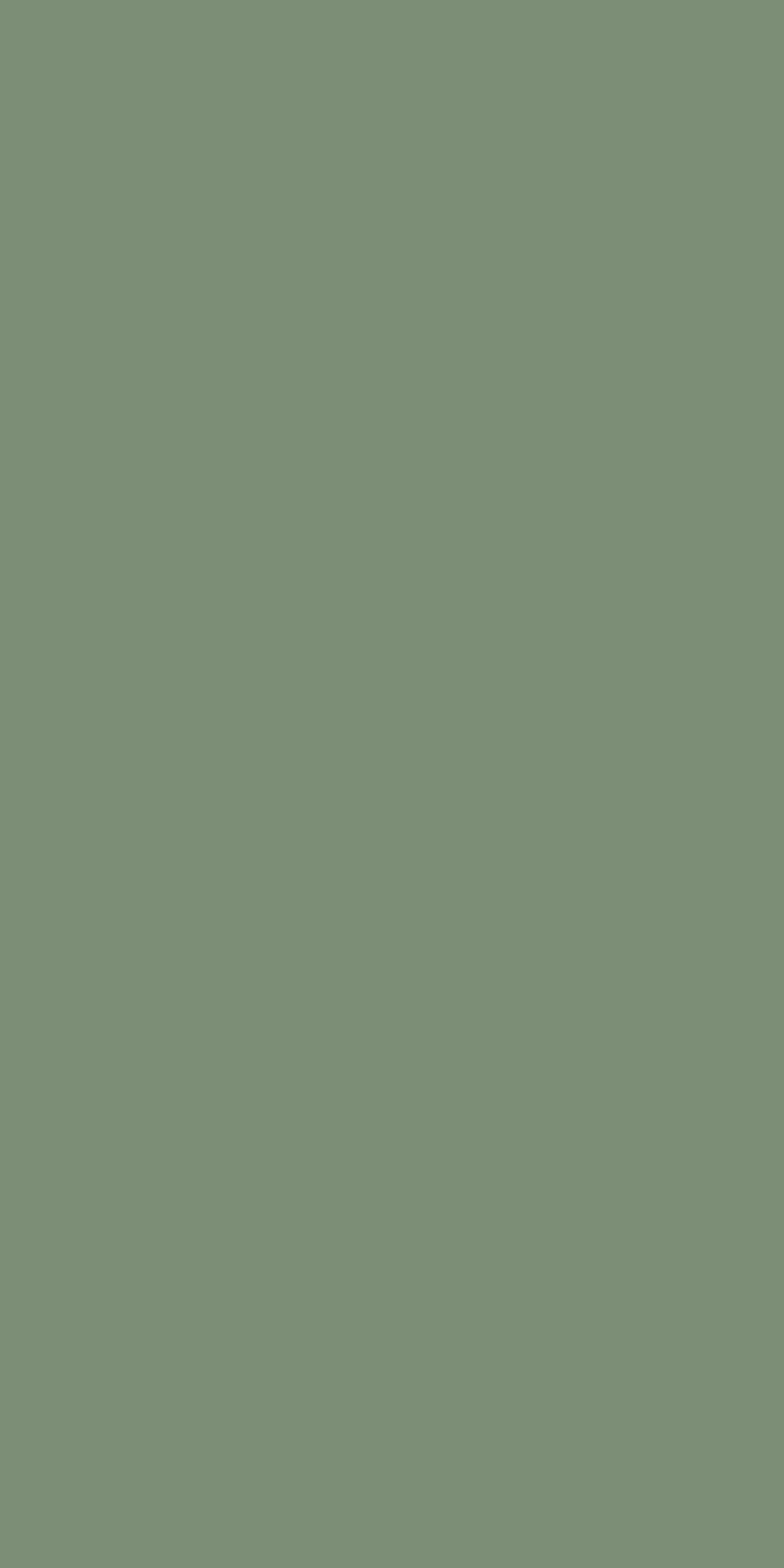 muted green