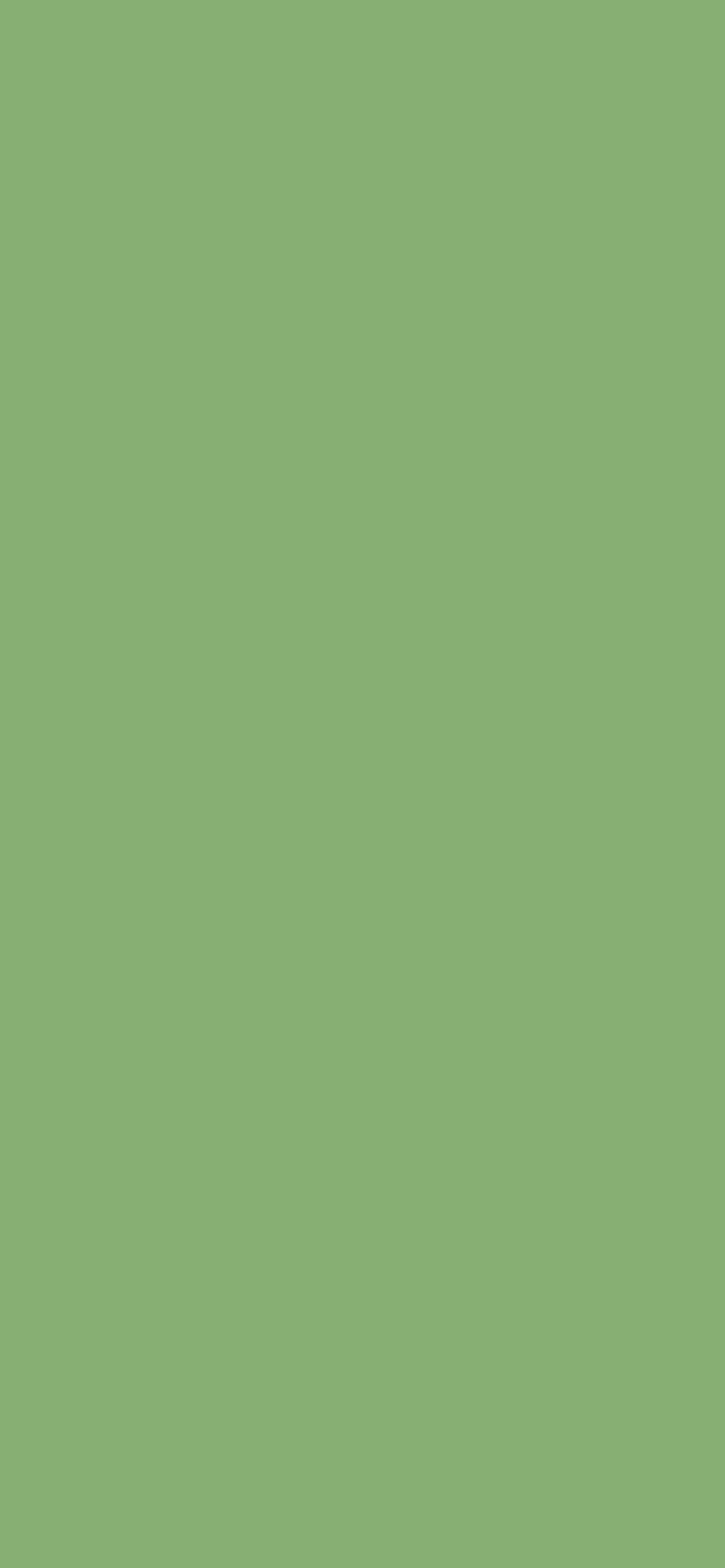 olive green undertones