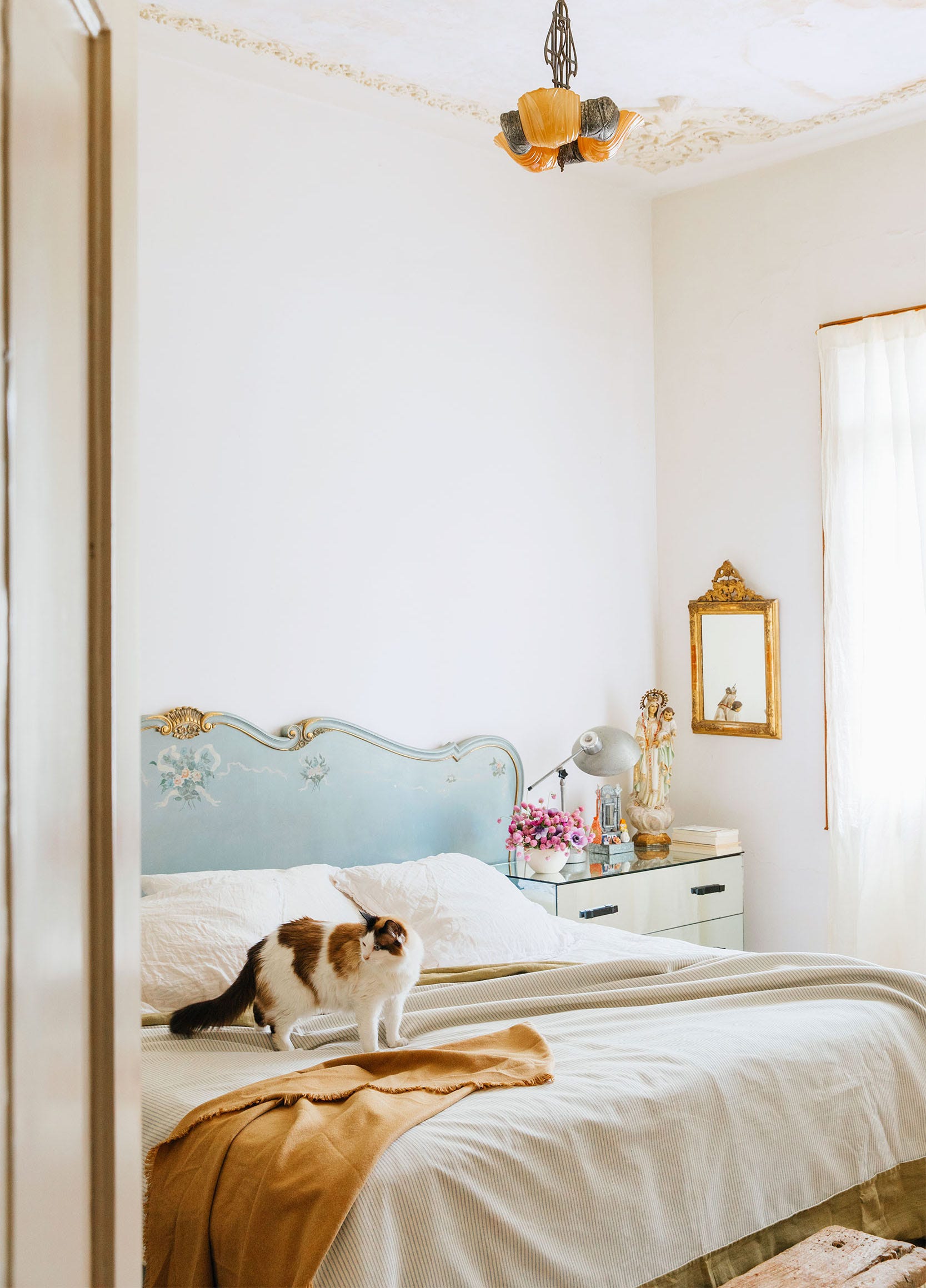organic modern decor