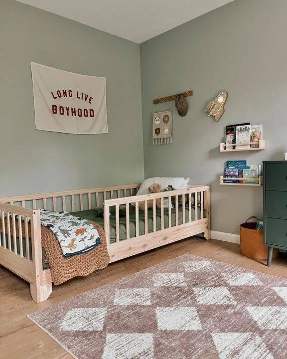 Themed Plastic Toddler Bed