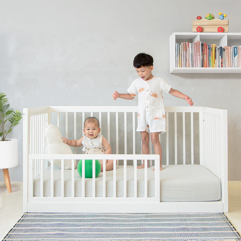 Themed Plastic Toddler Bed