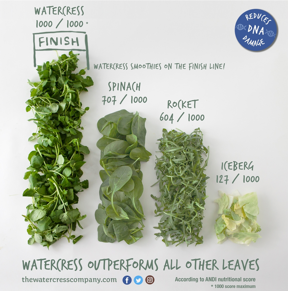 Health benefits of watercress